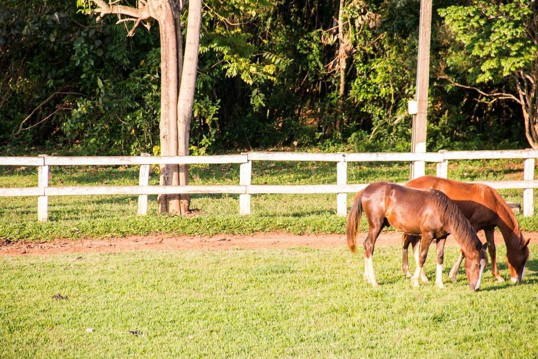 Fazenda Topada *