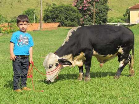 Fazenda Topada Casa rural *